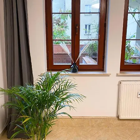 Cool'S Apartment דירה ורוצלב
